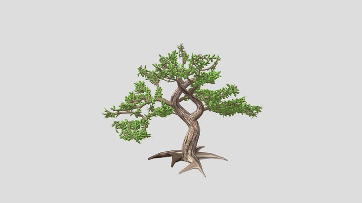 Bonsai Tree Syasya