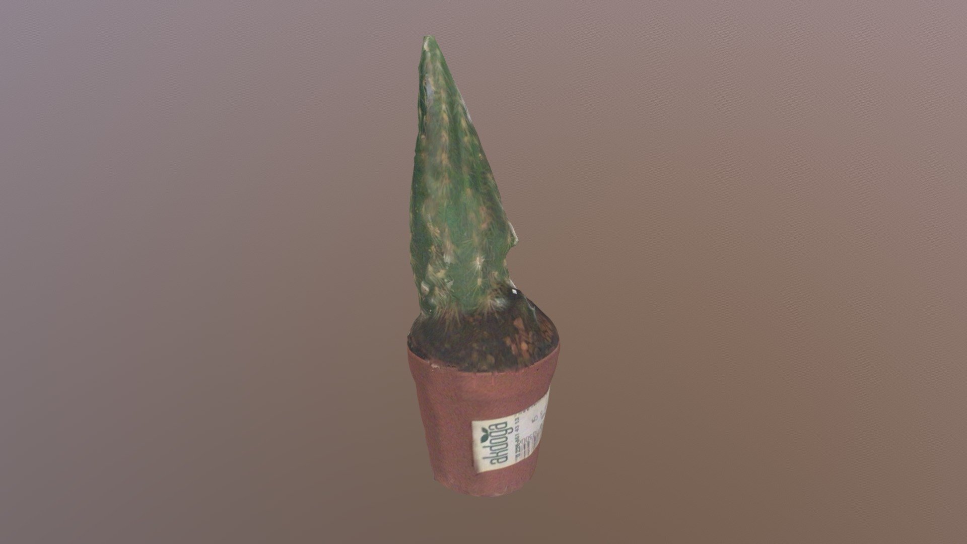 Kakti