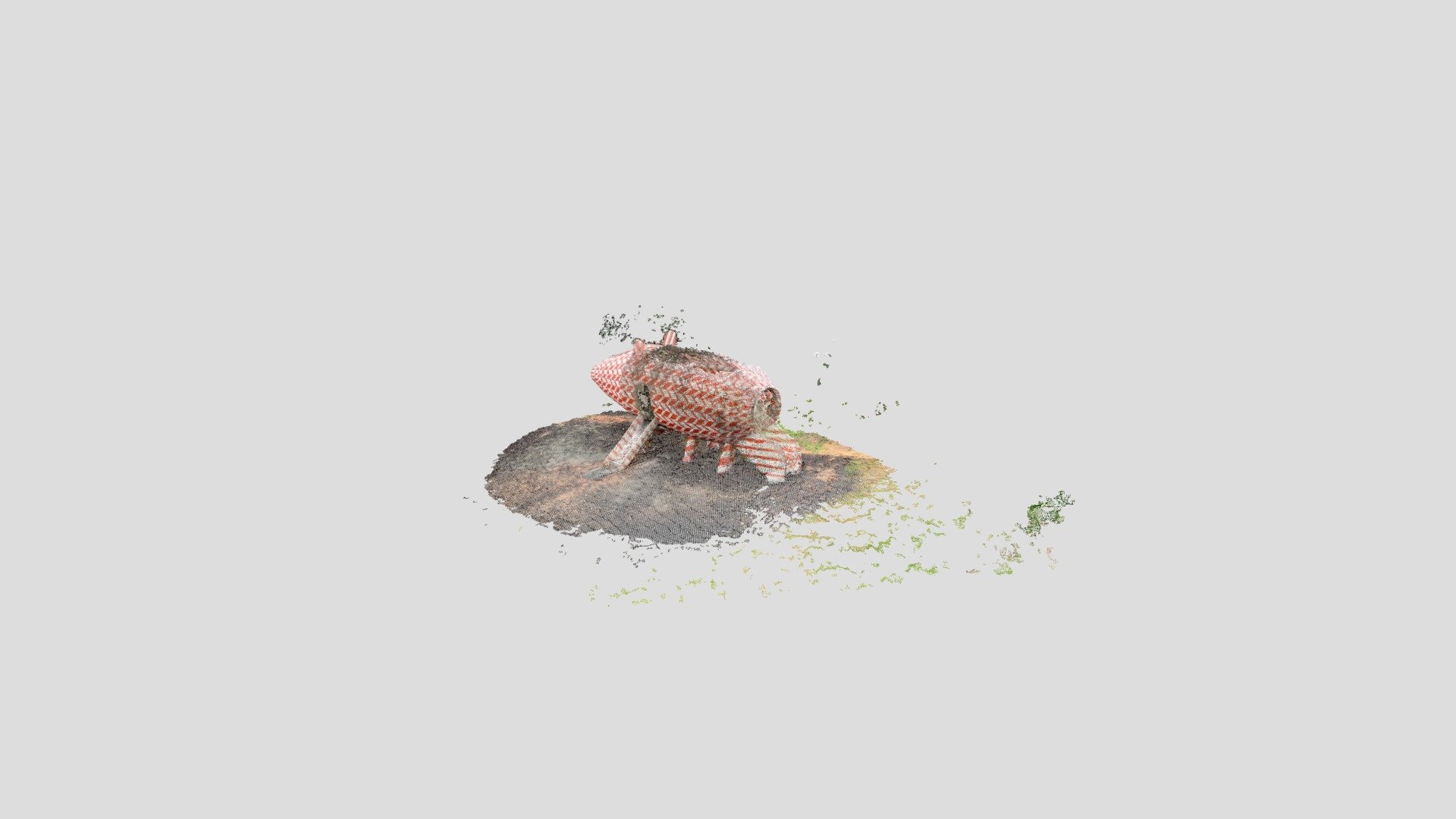 NCMA_pig