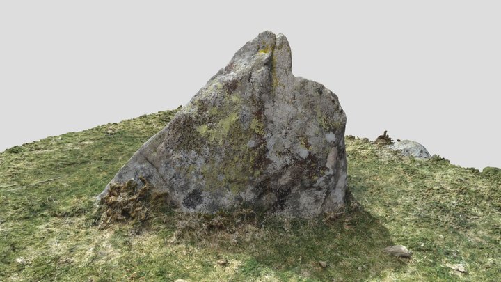 Dartmoor rock 3D Model