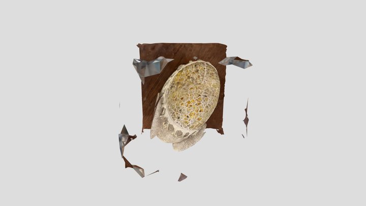 Mimagnífico activo 3D 3D Model