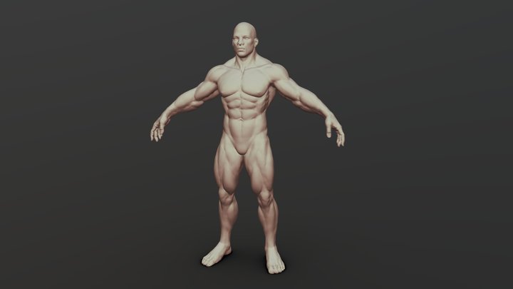 body_03 3D Model