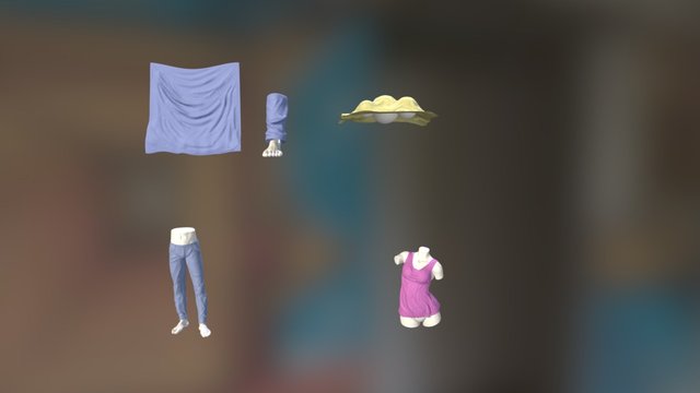 CGC Cloth Sculpting Exercise 3D Model