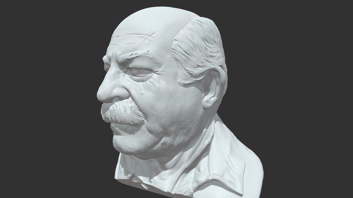 Detailed bald older man face