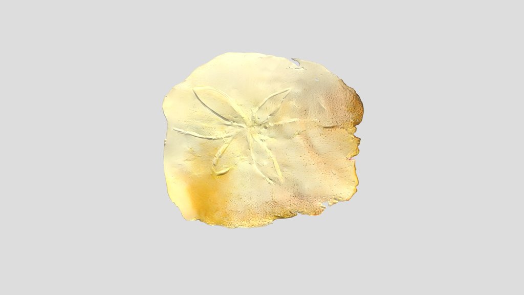 round baked cracker chip