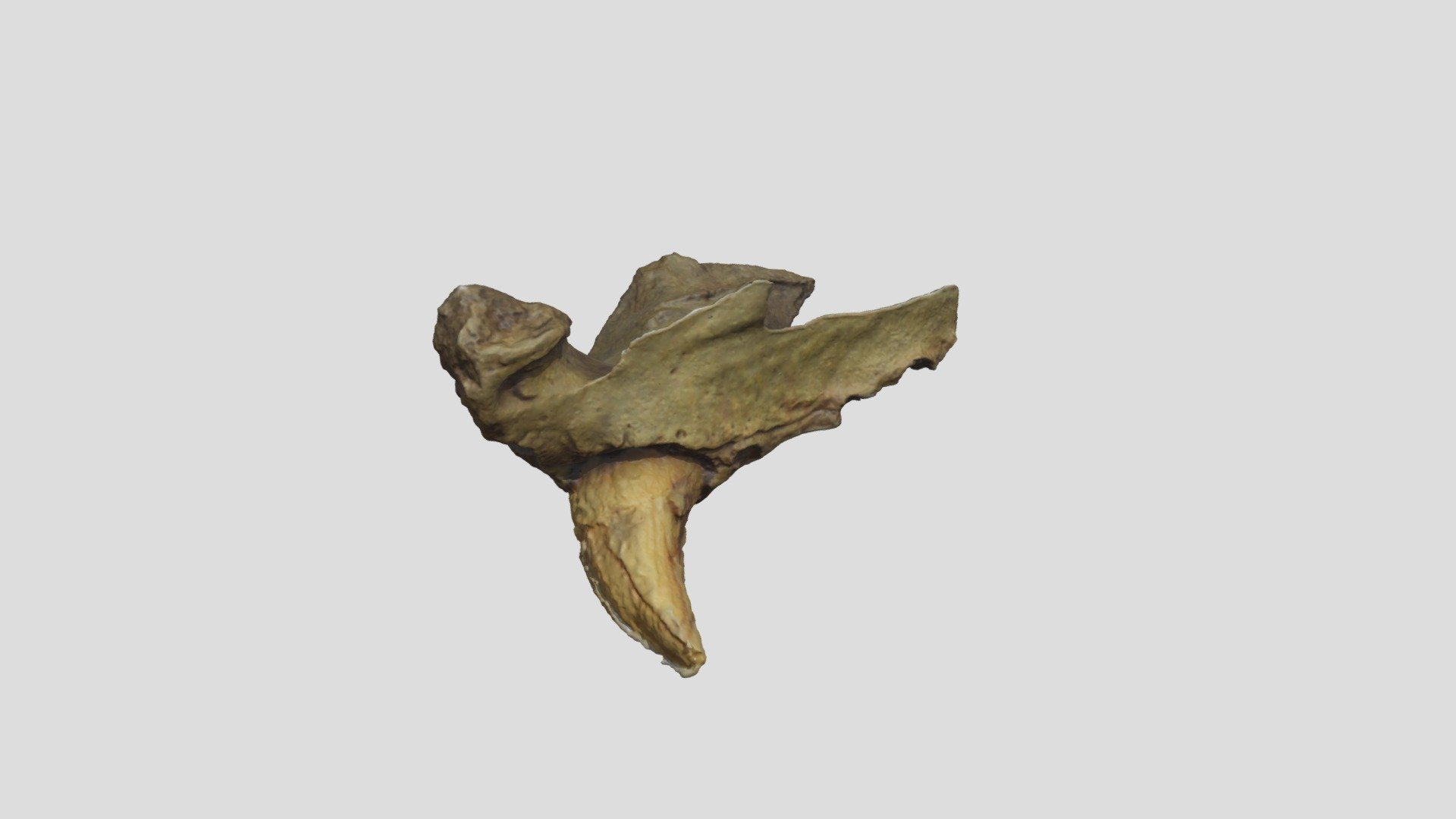 F25
