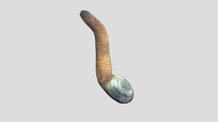 Geoduck 3D Model