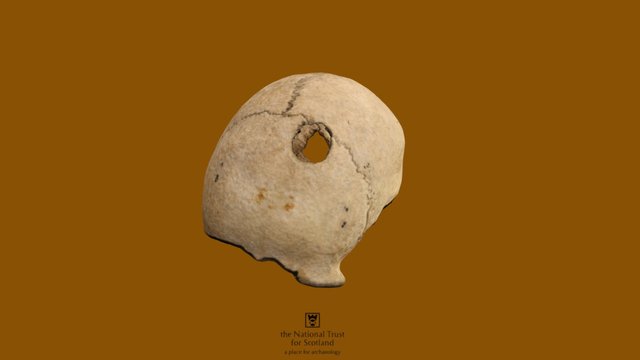 Battle of Culloden Skull 3D Model