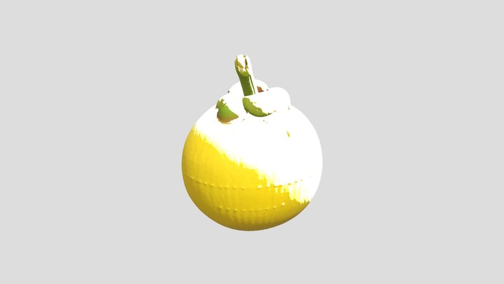Cuban Mangosteen (Garcinia aristata) 3D Model