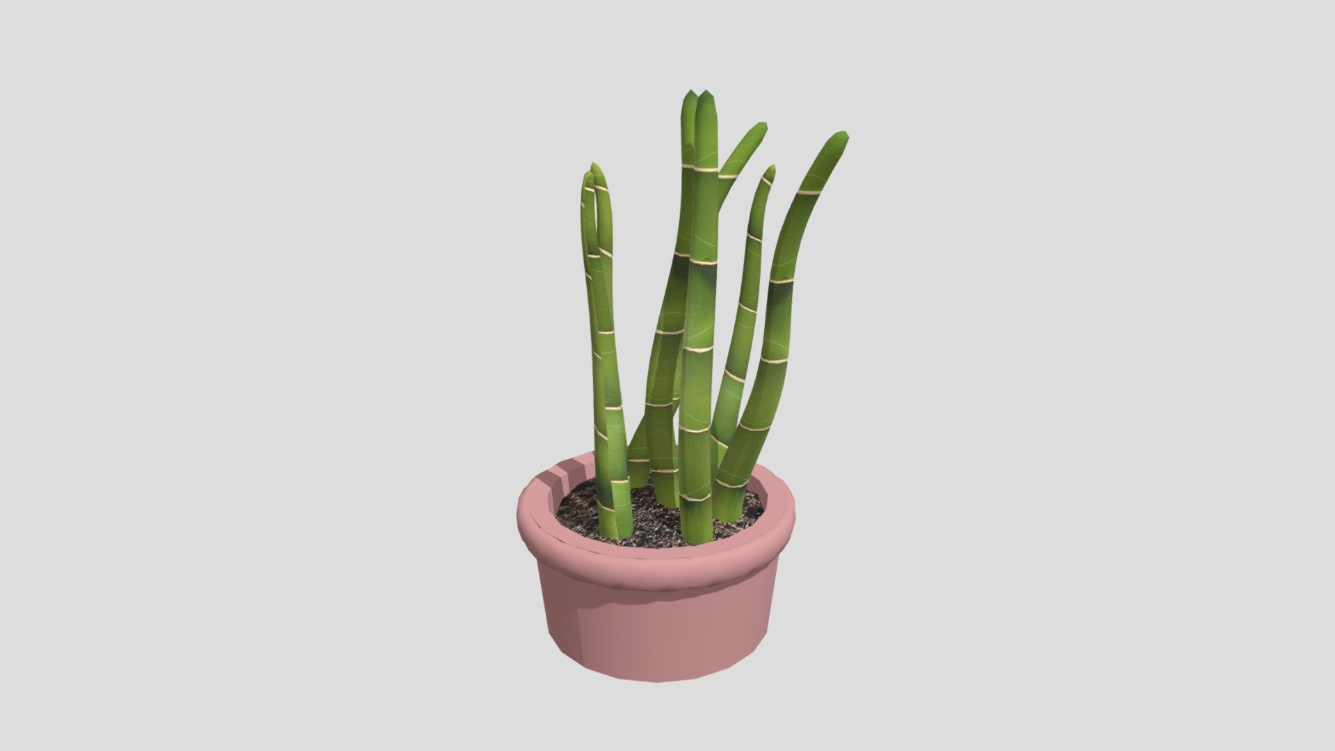 Bamboo Plant — Sketchfab embed 3D viewer