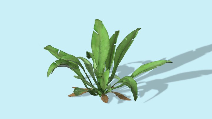 Low Poly Stylized Plant 3D Model