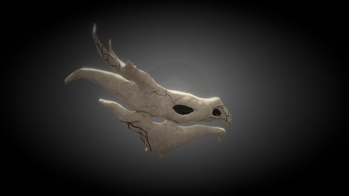 Dragon Skull Showcase (Sculpting Assignment) 3D Model