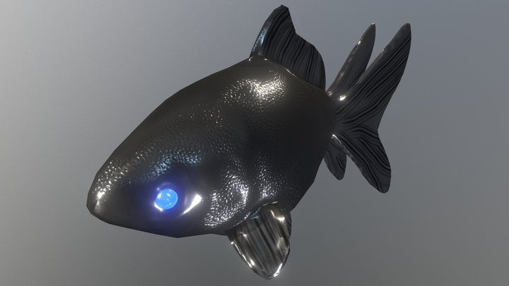 Black Fish 3D Model