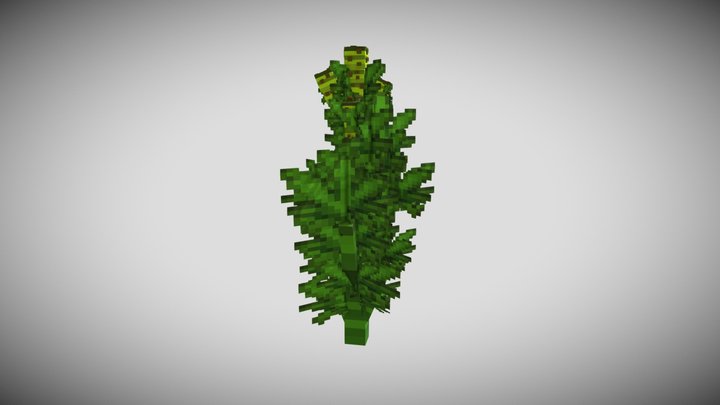 Marijuana 3D models - Sketchfab