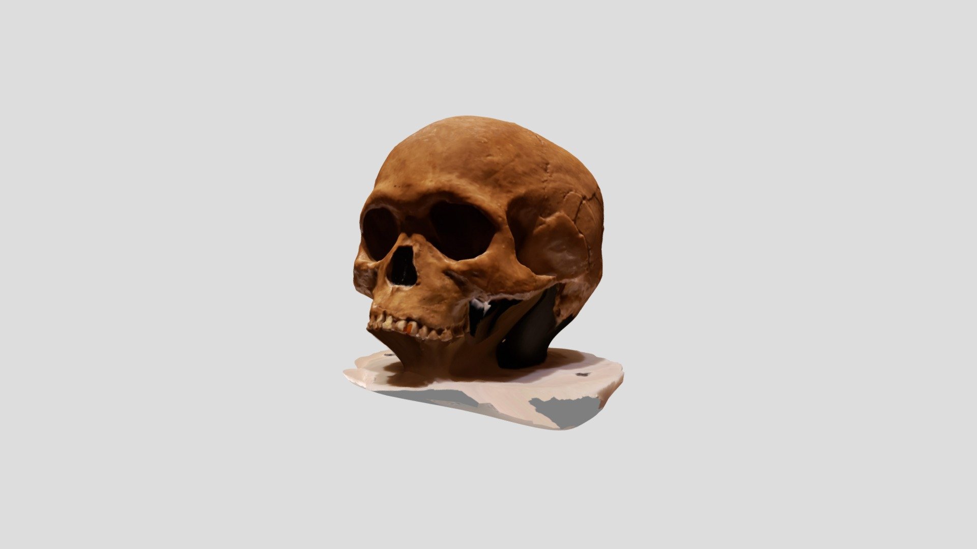Skull2