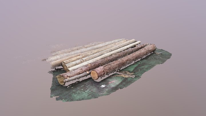 forest Point Cloud 3D Model