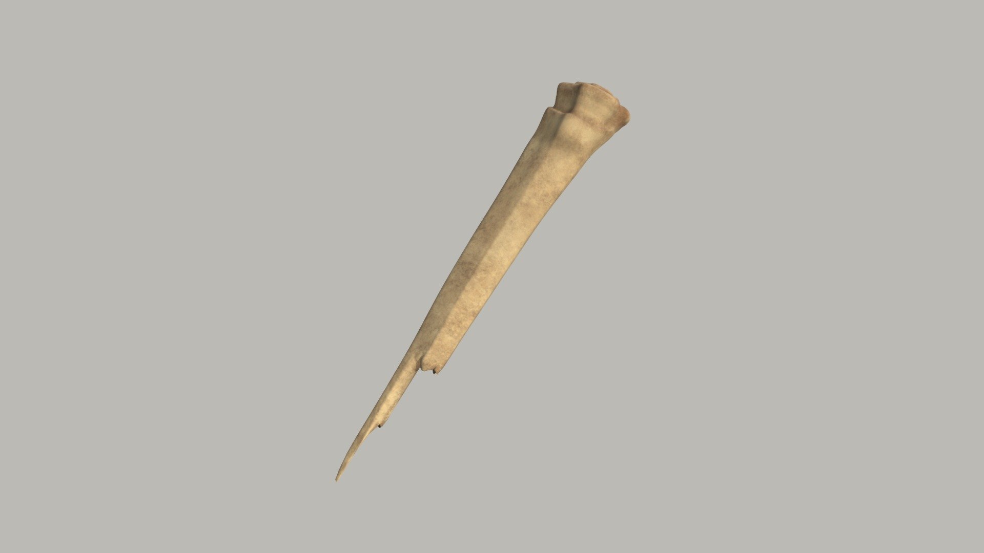 Broken Rib - 3D model by tori1243 [b1405c3] - Sketchfab