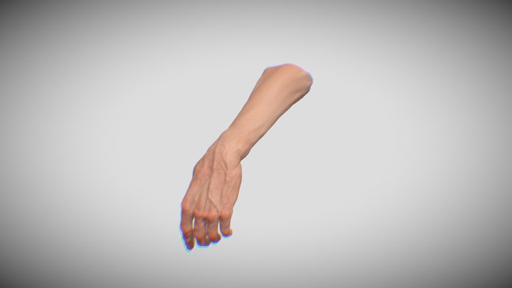 Hand realistic 3D Model