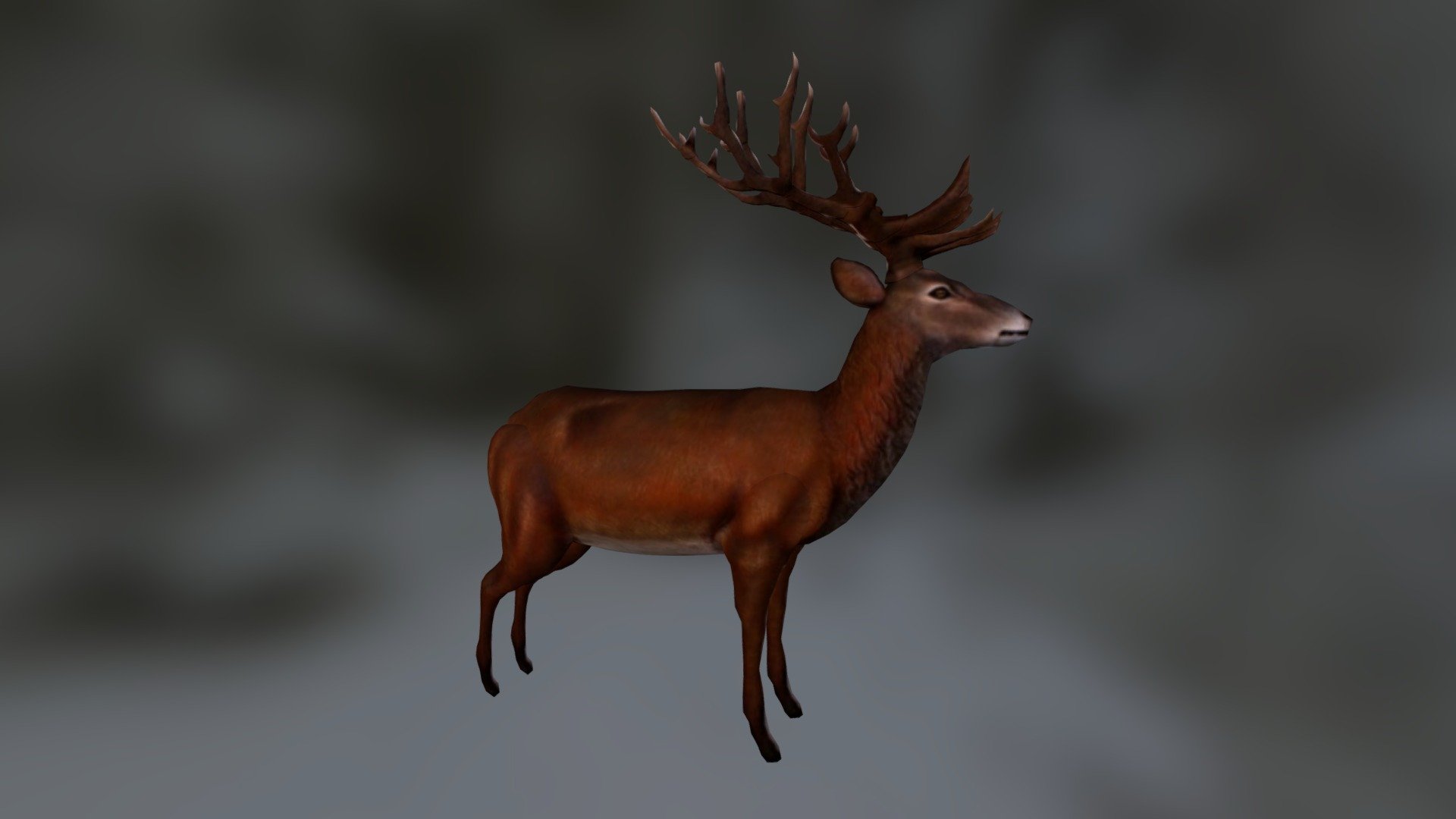 Deer - 3D Model By Smoothie3d [b1461ff] - Sketchfab