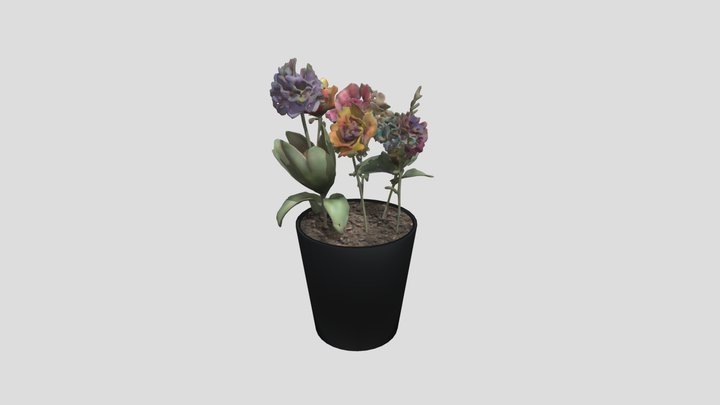 Colored Flowers 3D Model