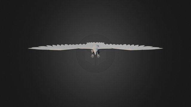 Eagle Low Poly 3D Model