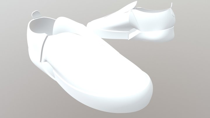 Skateboarding Shoe 3D Model