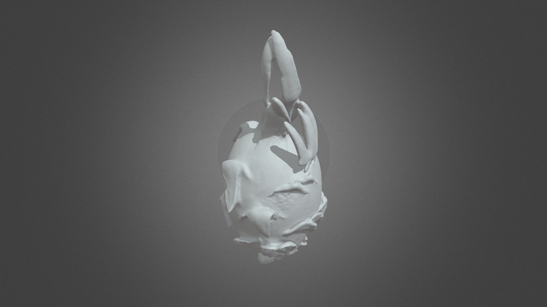 Dragon fruit-Pitaya（generated by revopoint pop）