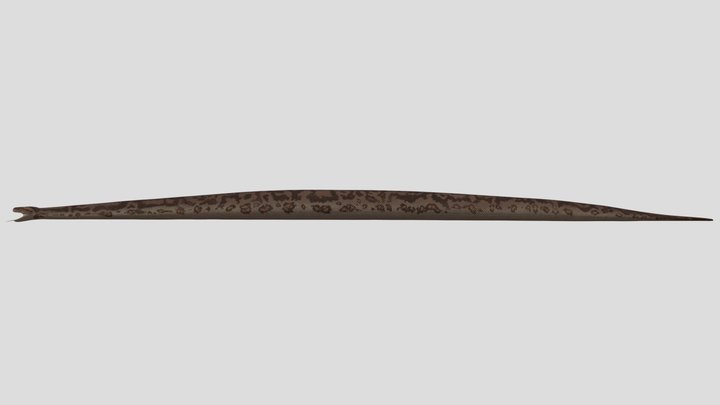 Titanoboa Accurate Rigged 3D Model