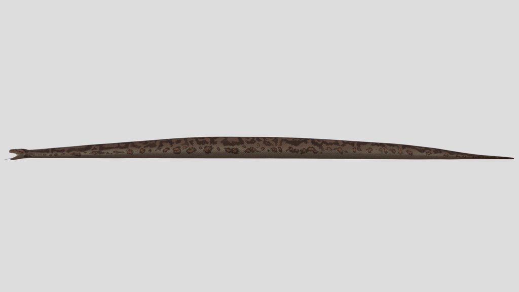 Titanoboa Accurate Rigged
