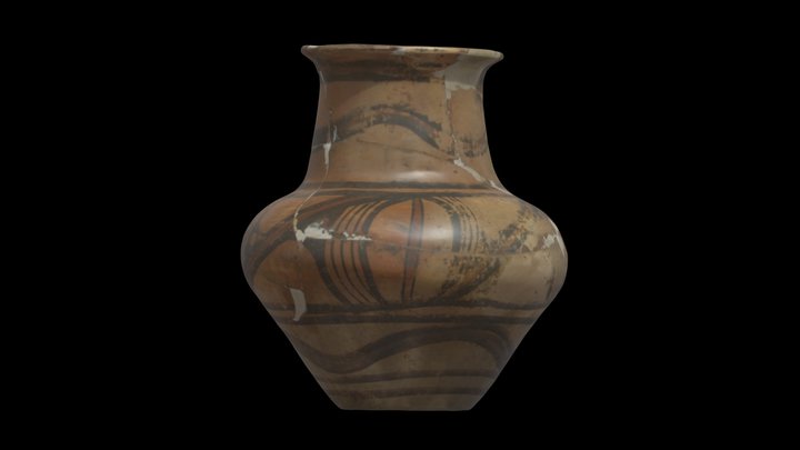 Painted vessel from Pîrjota 3D Model