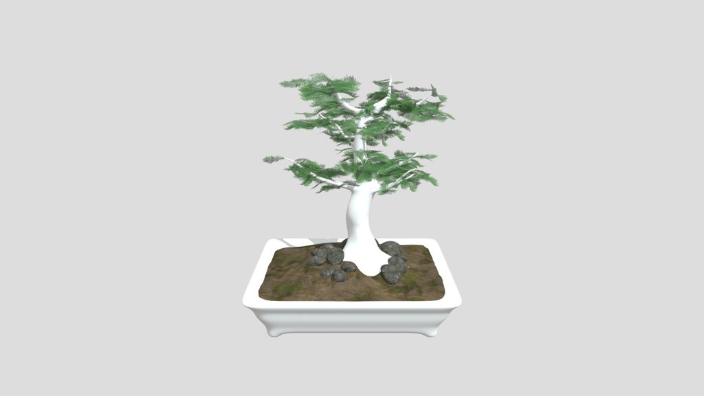 Bonsai Tree In White Blue Marbling Ceramic Vas