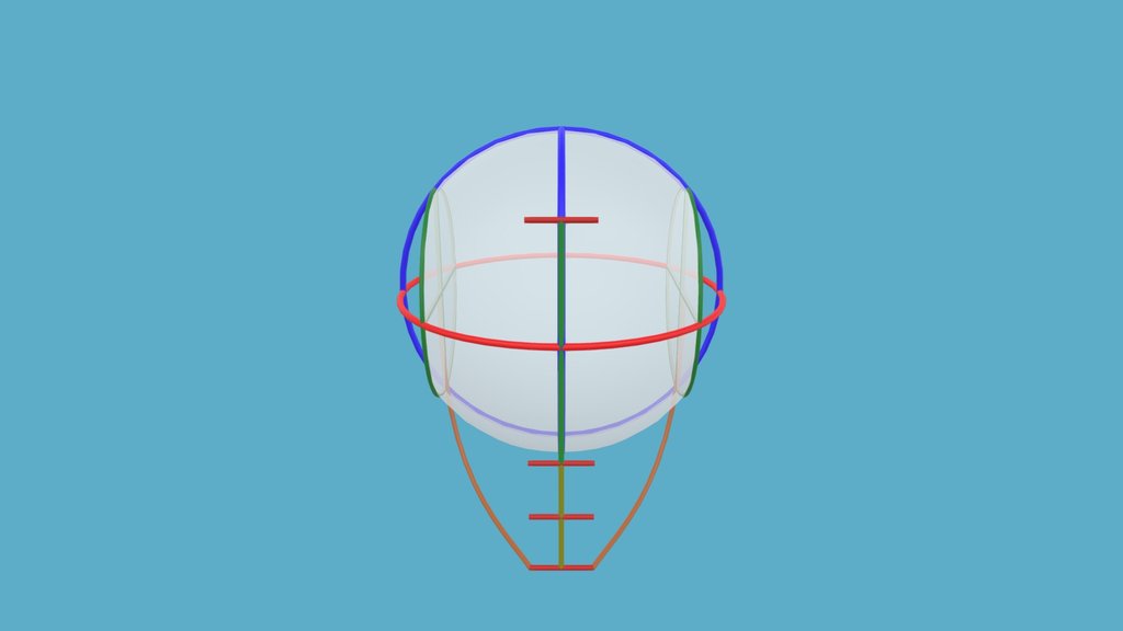 Loomis Head Study