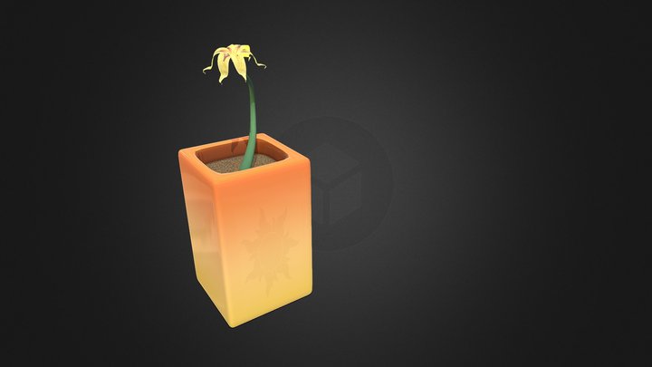 Wk8 Plant 3D Model