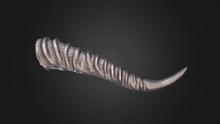 Yad Torah Pointer 3D Model
