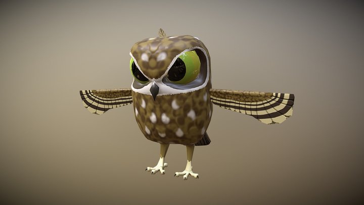 Australian Boobook Owl 3D Model