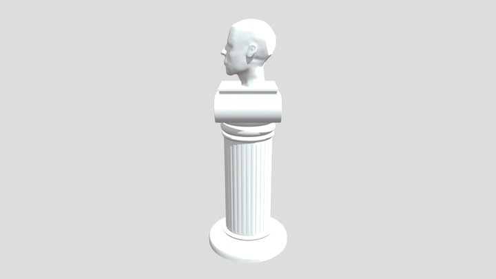 Head 3D Model