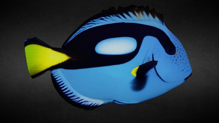 Picasso Fish (for the ScubeVerse) – Modello 3D gratuito STL