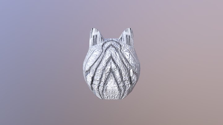 Week 5 Wolf Head 3D Model