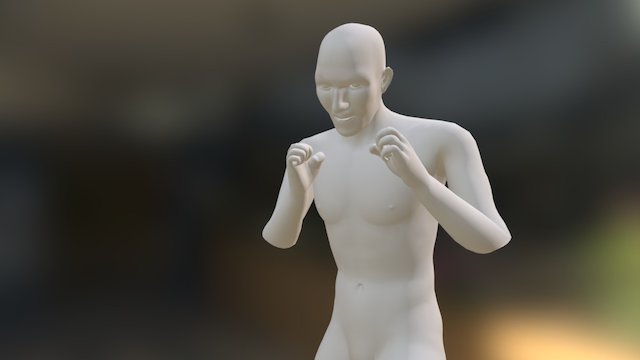Boxer 1 3D Model