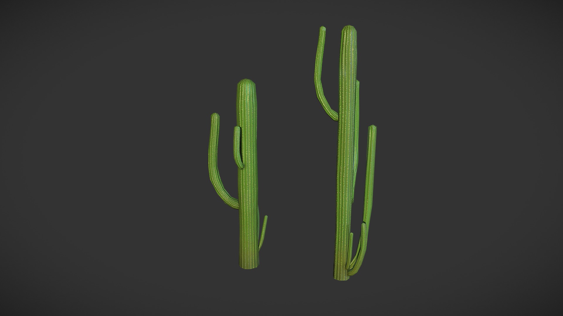 3D model PBR Cactuses - This is a 3D model of the PBR Cactuses. The 3D model is about text.