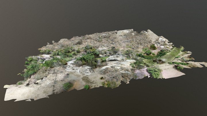 Sítio Arqueológico Pedra do Ingá 3D Model