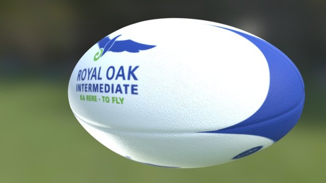 Royal Oak Intermediate Rugby Ball 3D Model