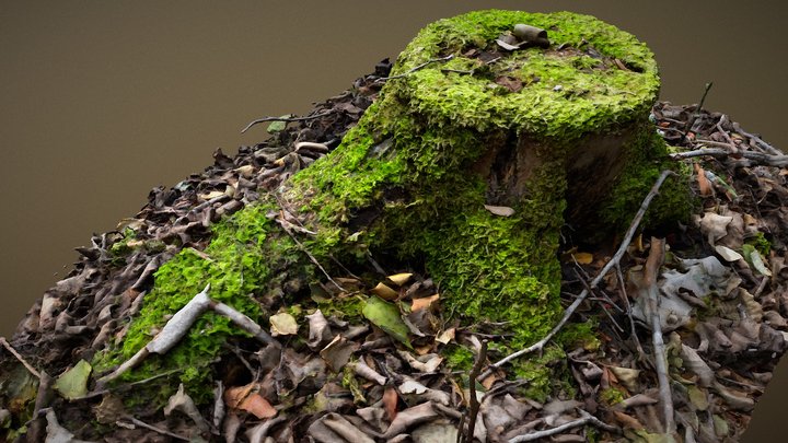 Tree stump with moss 3D Model
