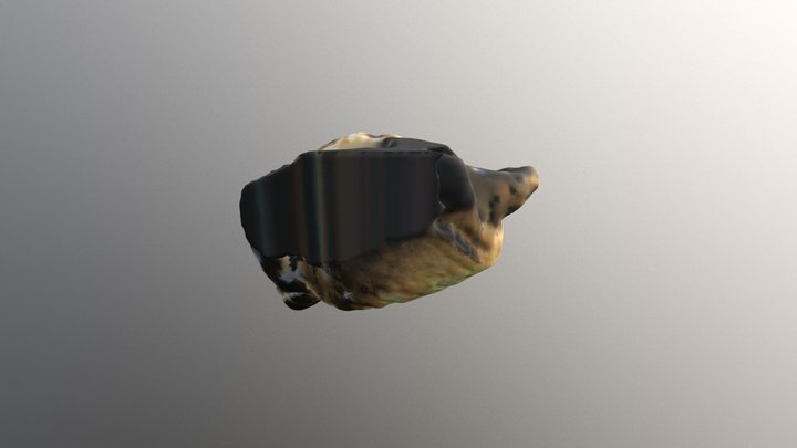 изделия из бересты11 3D Model