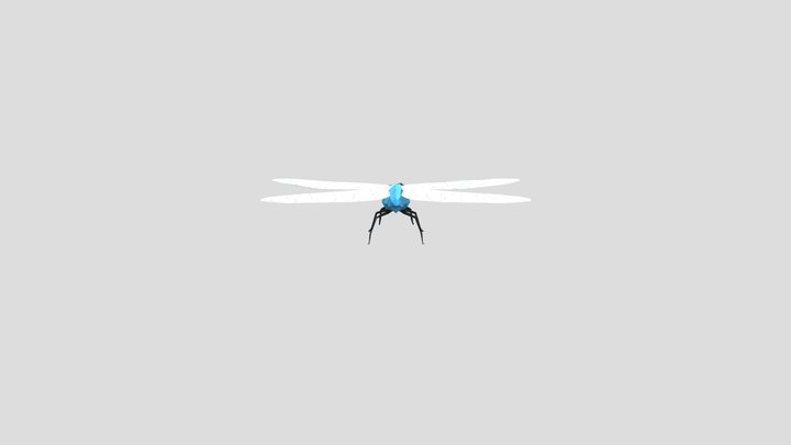 dragonfly 3D Model