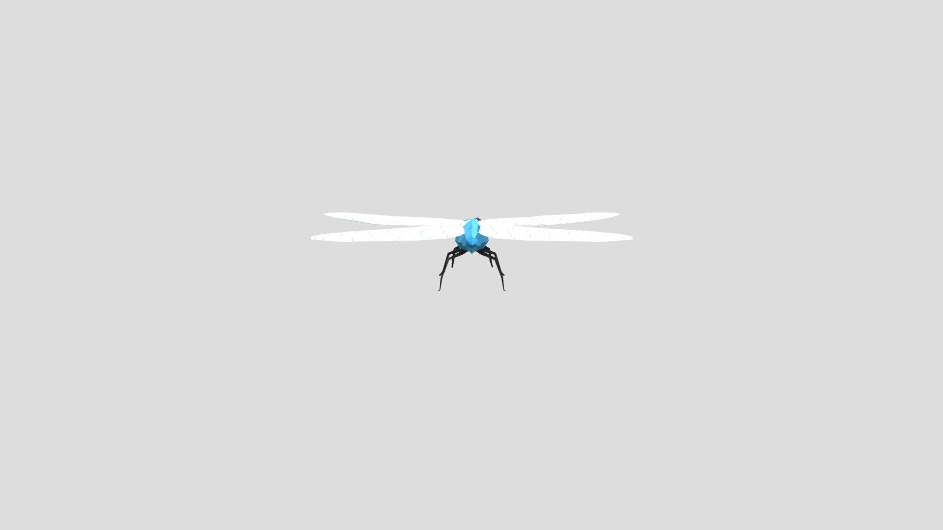 dragonfly