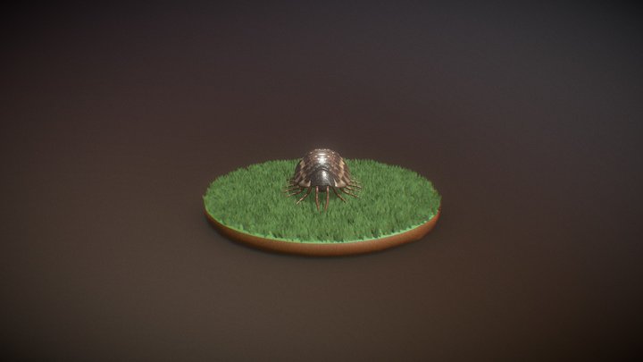 WoodLice 3D Model