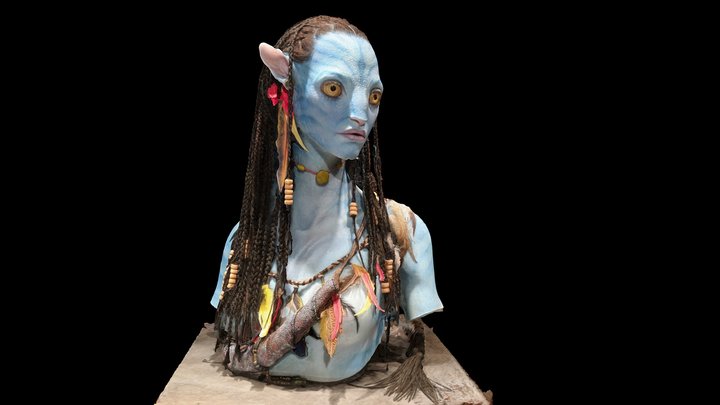 Neytiri - Na'vi bust 3D Model