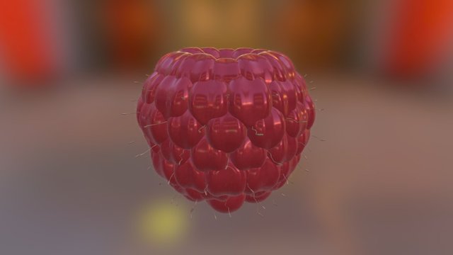 Malina 3D Model