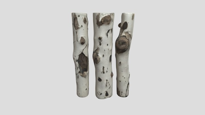Birch Trio 3D Model